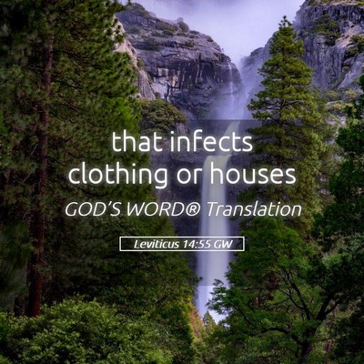 Picture 05 - Leviticus 14:55 GW - that infects clothing or - Bible Verse Picture