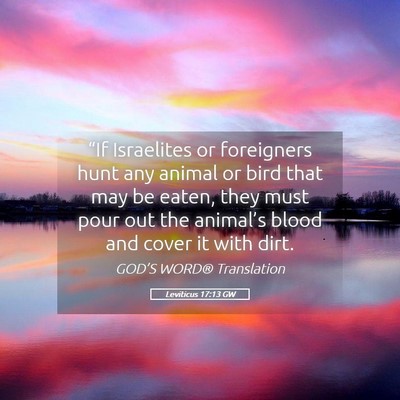 Picture 05 - Leviticus 17:13 GW - “If Israelites or foreigners hunt any animal or - Bible Verse Picture