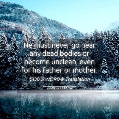 Picture 05 - Leviticus 21:11 GW - He must never go near any dead bodies or become - Bible Verse Picture