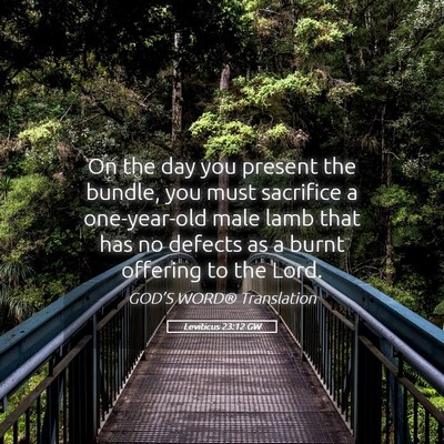Picture 05 - Leviticus 23:12 GW - On the day you present the bundle, you must - Bible Verse Picture
