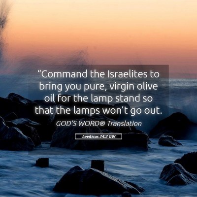 Picture 05 - Leviticus 24:2 GW - “Command the Israelites to bring you pure, - Bible Verse Picture