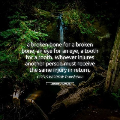 Picture 05 - Leviticus 24:20 GW - a broken bone for a broken bone, an eye for an - Bible Verse Picture