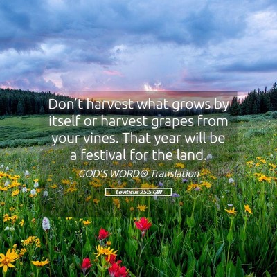 Picture 05 - Leviticus 25:5 GW - Don’t harvest what grows by itself or harvest - Bible Verse Picture