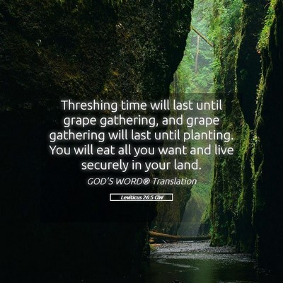 Picture 05 - Leviticus 26:5 GW - Threshing time will last until grape gathering, - Bible Verse Picture