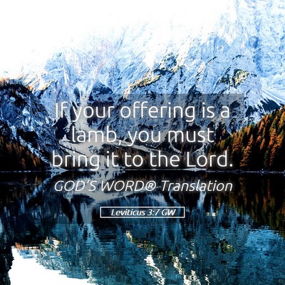 Picture 05 - Leviticus 3:7 GW - If your offering is a lamb, you must bring it to - Bible Verse Picture