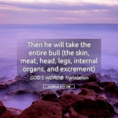 Picture 05 - Leviticus 4:11 GW - Then he will take the entire bull (the skin, - Bible Verse Picture