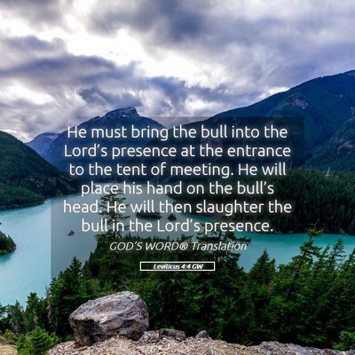 Picture 05 - Leviticus 4:4 GW - He must bring the bull into the Lord’s presence - Bible Verse Picture