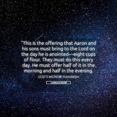Picture 05 - Leviticus 6:20 GW - “This is the offering that Aaron and his sons - Bible Verse Picture
