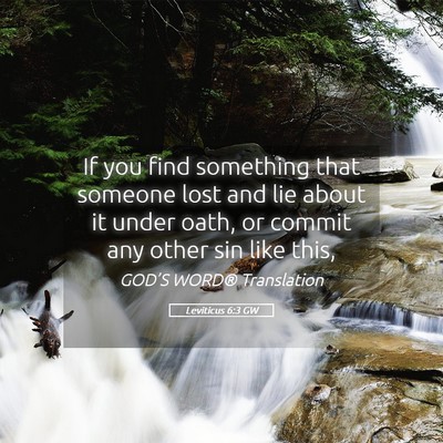 Picture 05 - Leviticus 6:3 GW - If you find something that someone lost and lie - Bible Verse Picture