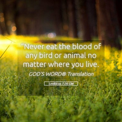 Picture 05 - Leviticus 7:26 GW - “Never eat the blood of any bird or animal no - Bible Verse Picture