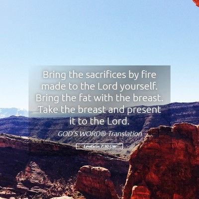 Picture 05 - Leviticus 7:30 GW - Bring the sacrifices by fire made to the Lord - Bible Verse Picture