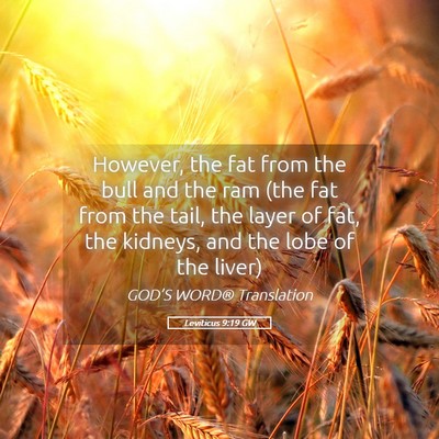 Picture 05 - Leviticus 9:19 GW - However, the fat from the bull and the ram (the - Bible Verse Picture