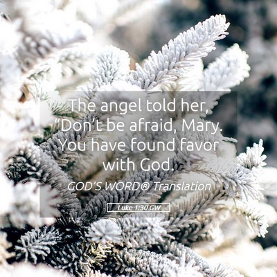 Picture 05 - Luke 1:30 GW - The angel told her, “Don’t be afraid, Mary. - Bible Verse Picture