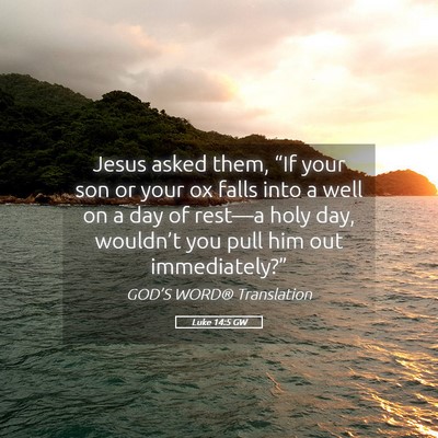 Picture 05 - Luke 14:5 GW - Jesus asked them, “If your son or your ox falls - Bible Verse Picture
