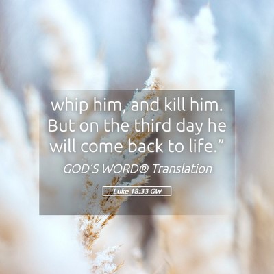 Picture 05 - Luke 18:33 GW - whip him, and kill him. But on the third day he - Bible Verse Picture