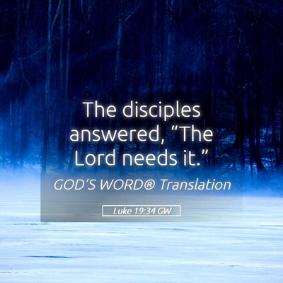 Picture 05 - Luke 19:34 GW - The disciples answered, “The Lord needs - Bible Verse Picture