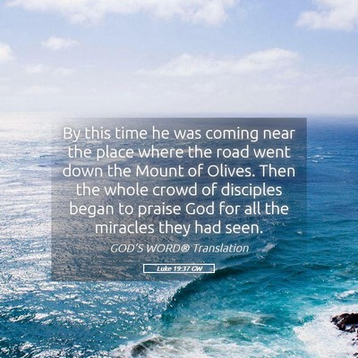 Picture 05 - Luke 19:37 GW - By this time he was coming near the place where - Bible Verse Picture