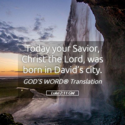 Picture 05 - Luke 2:11 GW - Today your Savior, Christ the Lord, was born in - Bible Verse Picture