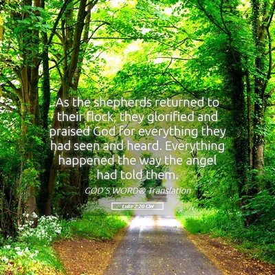 Picture 05 - Luke 2:20 GW - As the shepherds returned to their flock, they - Bible Verse Picture