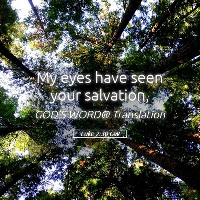 Picture 05 - Luke 2:30 GW - My eyes have seen your - Bible Verse Picture