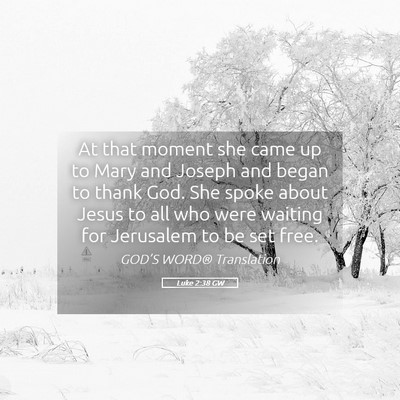 Picture 05 - Luke 2:38 GW - At that moment she came up to Mary and Joseph and - Bible Verse Picture