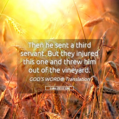 Picture 05 - Luke 20:12 GW - Then he sent a third servant. But they injured - Bible Verse Picture