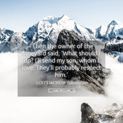 Picture 05 - Luke 20:13 GW - “Then the owner of the vineyard said, ‘What - Bible Verse Picture