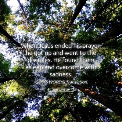 Picture 05 - Luke 22:45 GW - When Jesus ended his prayer, he got up and went - Bible Verse Picture