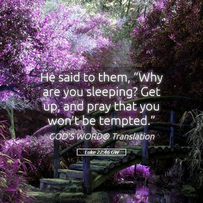 Picture 05 - Luke 22:46 GW - He said to them, “Why are you sleeping? Get up, - Bible Verse Picture