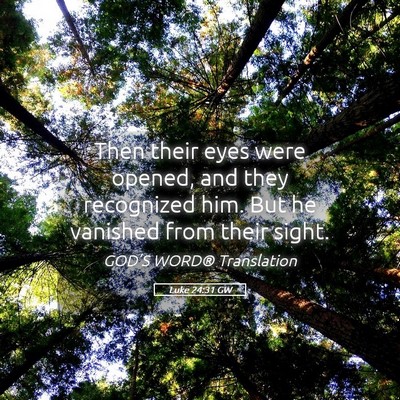 Picture 05 - Luke 24:31 GW - Then their eyes were opened, and they recognized - Bible Verse Picture