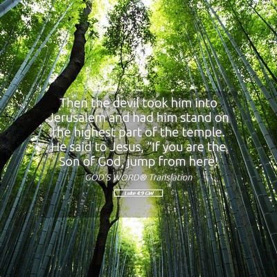 Picture 05 - Luke 4:9 GW - Then the devil took him into Jerusalem and had - Bible Verse Picture