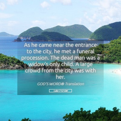 Picture 05 - Luke 7:12 GW - As he came near the entrance to the city, he met - Bible Verse Picture