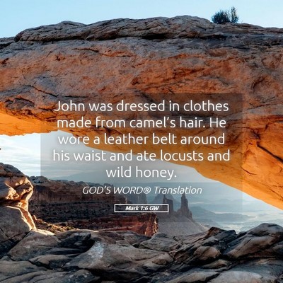 Picture 05 - Mark 1:6 GW - John was dressed in clothes made from camel’s - Bible Verse Picture