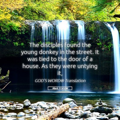 Picture 05 - Mark 11:4 GW - The disciples found the young donkey in the - Bible Verse Picture