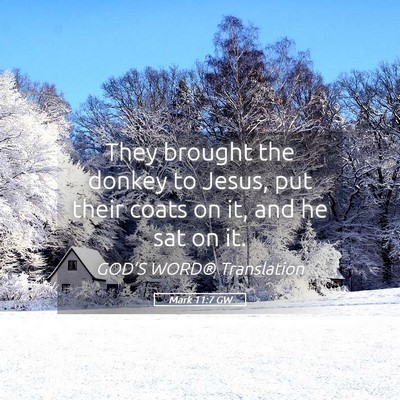 Picture 05 - Mark 11:7 GW - They brought the donkey to Jesus, put their coats - Bible Verse Picture