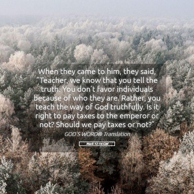 Picture 05 - Mark 12:14 GW - When they came to him, they said, “Teacher, we - Bible Verse Picture