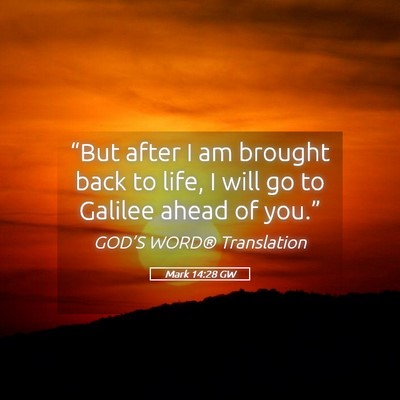 Picture 05 - Mark 14:28 GW - “But after I am brought back to life, I will go - Bible Verse Picture