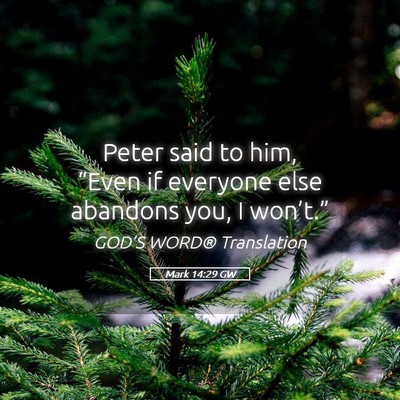 Picture 05 - Mark 14:29 GW - Peter said to him, “Even if everyone else - Bible Verse Picture