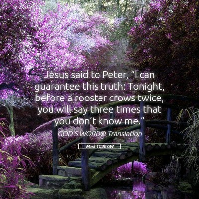 Picture 05 - Mark 14:30 GW - Jesus said to Peter, “I can guarantee this - Bible Verse Picture