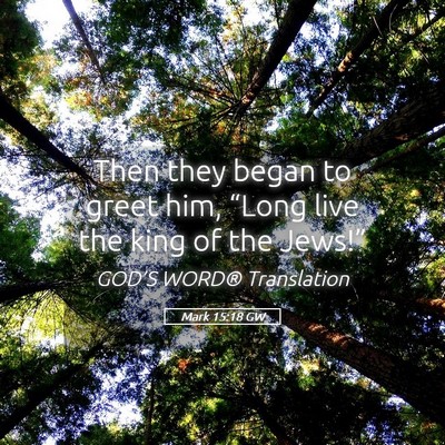 Picture 05 - Mark 15:18 GW - Then they began to greet him, “Long live the - Bible Verse Picture