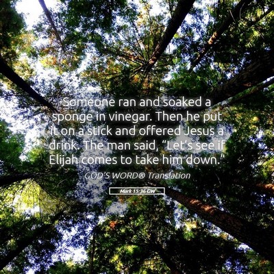 Picture 05 - Mark 15:36 GW - Someone ran and soaked a sponge in vinegar. Then - Bible Verse Picture