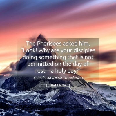 Picture 05 - Mark 2:24 GW - The Pharisees asked him, “Look! Why are your - Bible Verse Picture