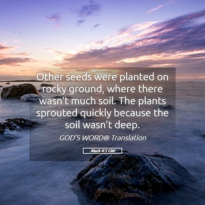 Picture 05 - Mark 4:5 GW - Other seeds were planted on rocky ground, where - Bible Verse Picture