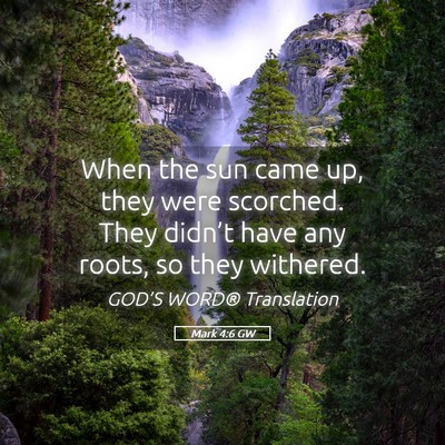 Picture 05 - Mark 4:6 GW - When the sun came up, they were scorched. They - Bible Verse Picture