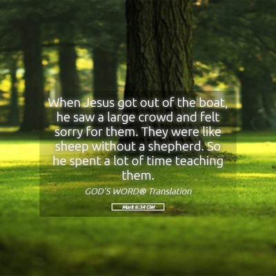 Picture 05 - Mark 6:34 GW - When Jesus got out of the boat, he saw a large - Bible Verse Picture