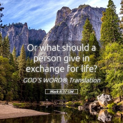 Picture 05 - Mark 8:37 GW - Or what should a person give in exchange for - Bible Verse Picture