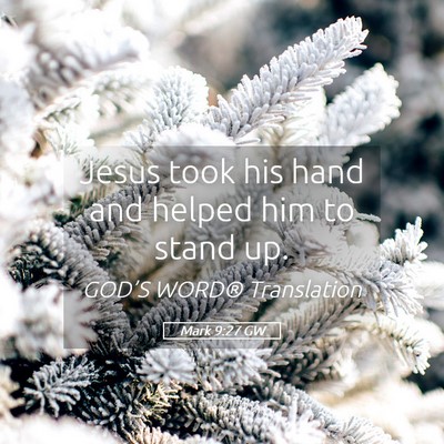 Picture 05 - Mark 9:27 GW - Jesus took his hand and helped him to stand - Bible Verse Picture