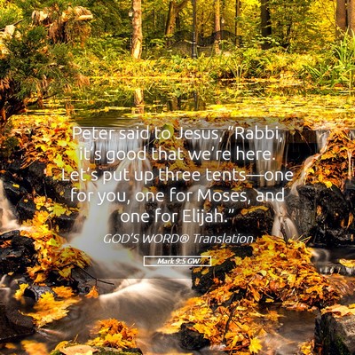 Picture 05 - Mark 9:5 GW - Peter said to Jesus, “Rabbi, it’s good that - Bible Verse Picture