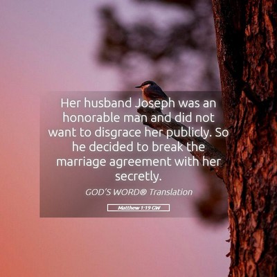 Picture 05 - Matthew 1:19 GW - Her husband Joseph was an honorable man and did - Bible Verse Picture