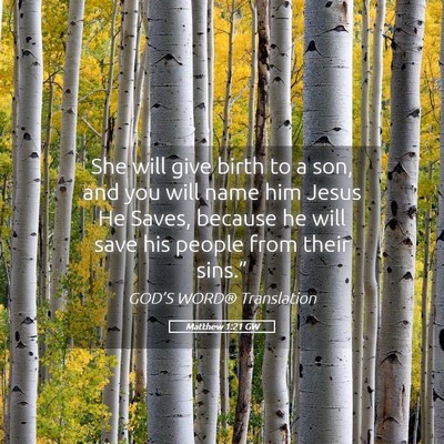 Picture 05 - Matthew 1:21 GW - She will give birth to a son, and you will name - Bible Verse Picture